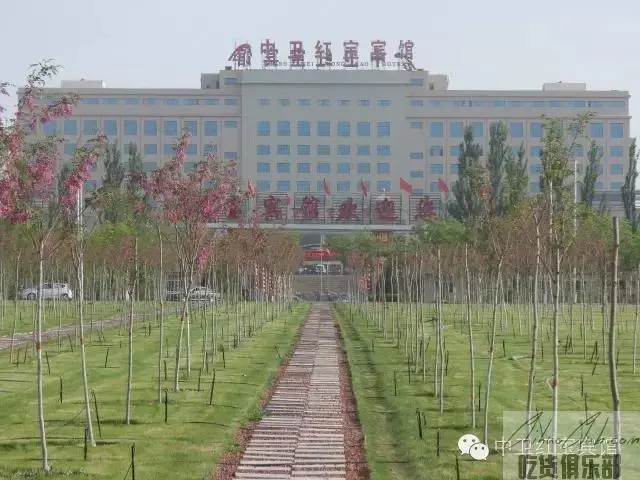 Zhongwei Hongbao Hotel