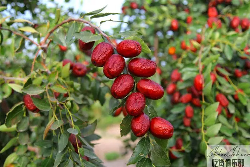 Aksu red dates