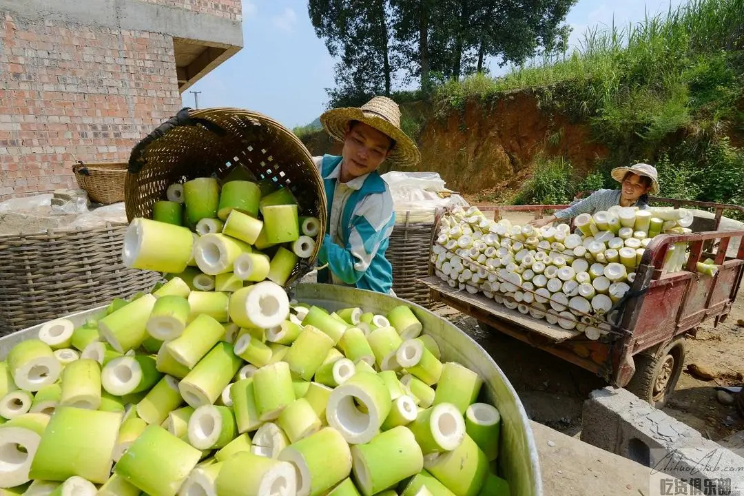 Ba Du Bamboo Shoots