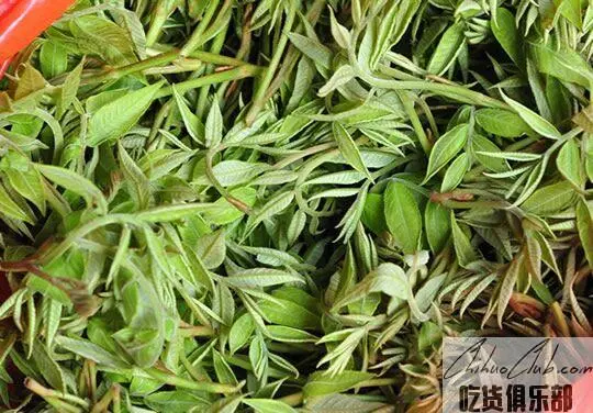 Chengbu Qingqian Liucha