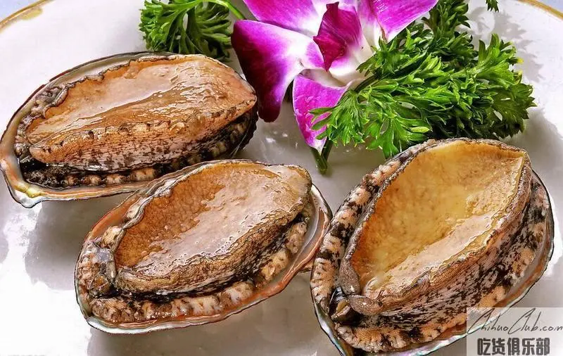 Dalian Abalone