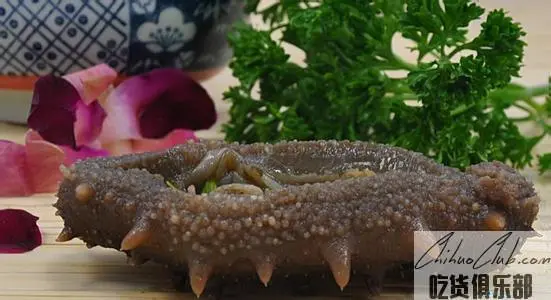 Dalian sea cucumber