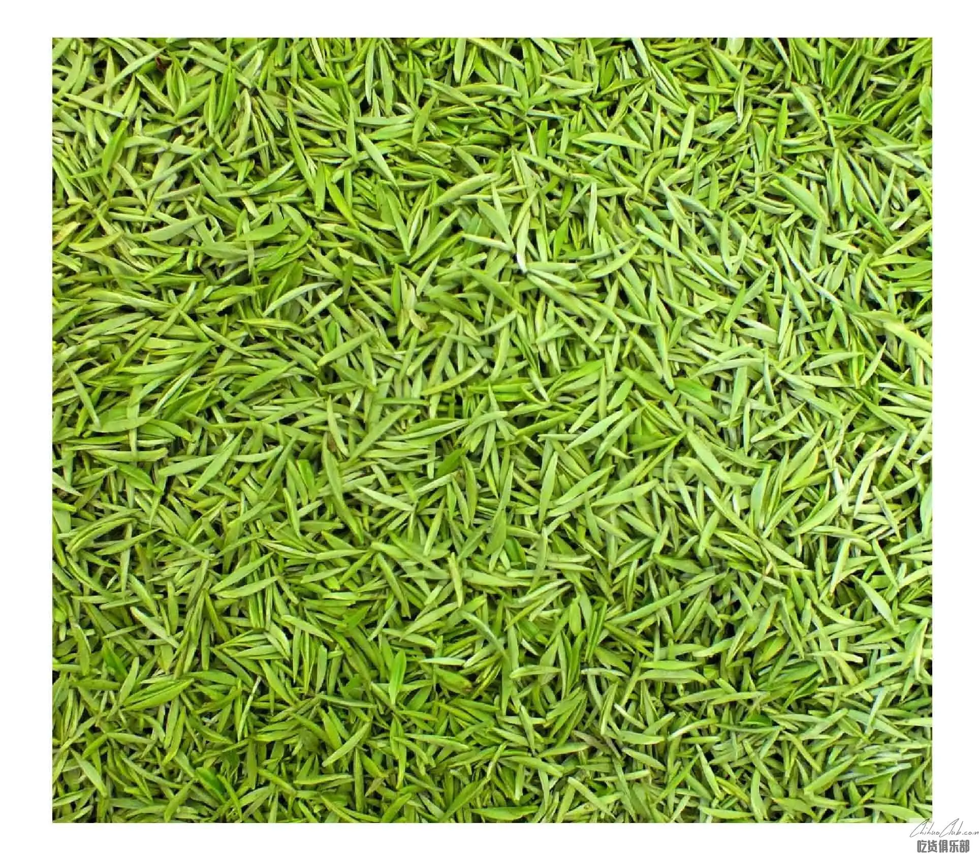 道真绿茶(道真硒锶茶)