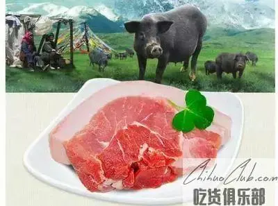 迭部蕨麻猪肉