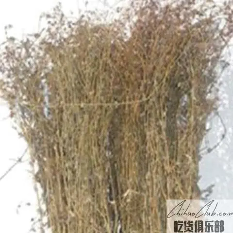 东乡白花蛇舌草