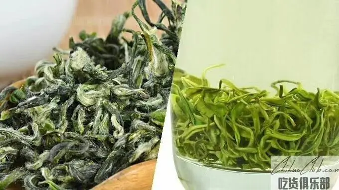 Duyun Maojian Tea