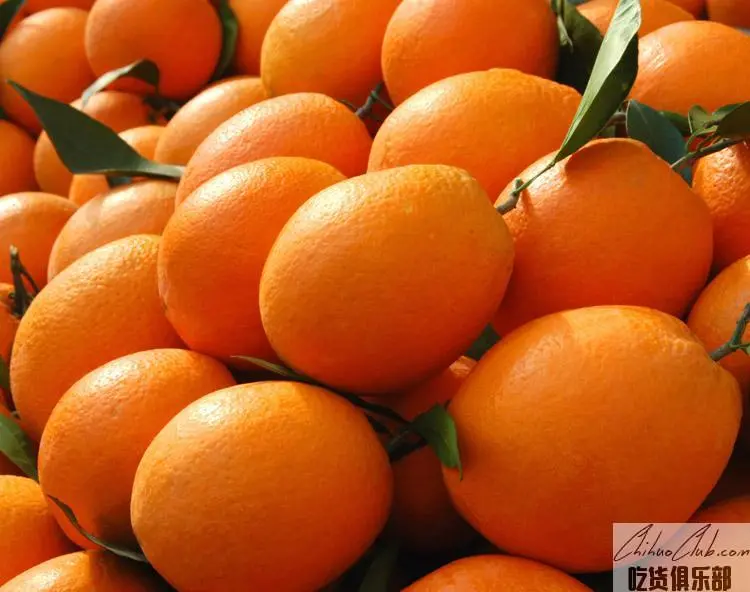 Fengjie navel Orange