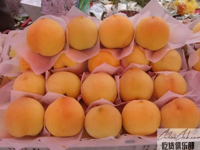 Fengxian yellow Peach