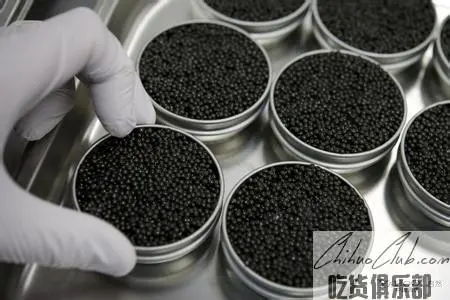 Fuyuan Heilongjiang sturgeon caviar