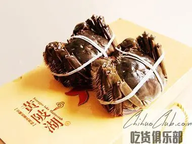 黄陂湖大闸蟹(黄陂湖河蟹)