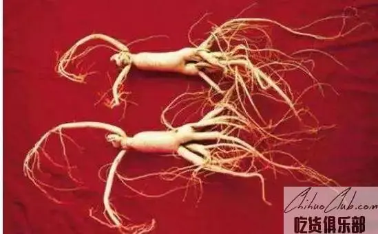 Huanren wild radix ginseng