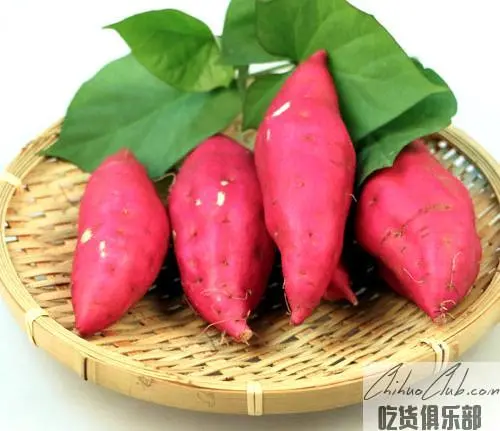 Kangping Sweet Potato