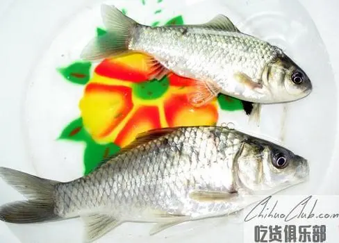 Liaozhong crucian carp