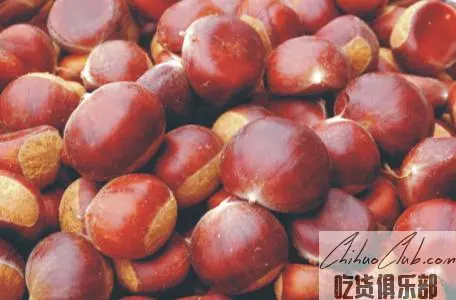 Lizhou Red Chestnut