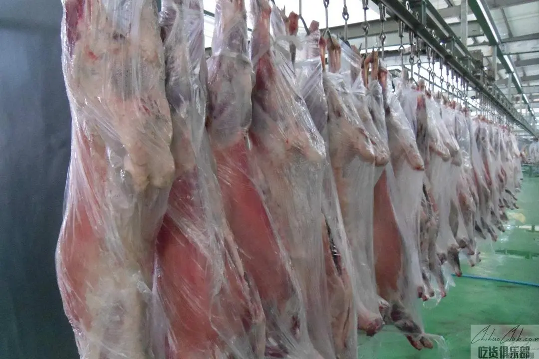 民勤羊肉