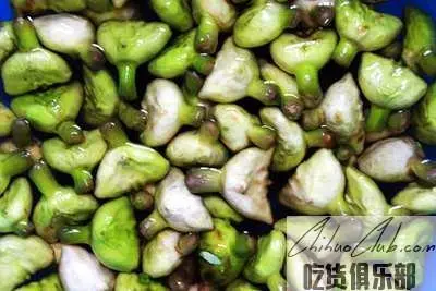 Nanhu water Caltrop