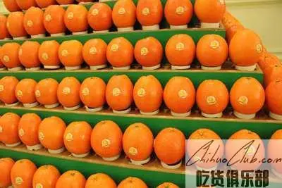 Pingyuan navel Orange