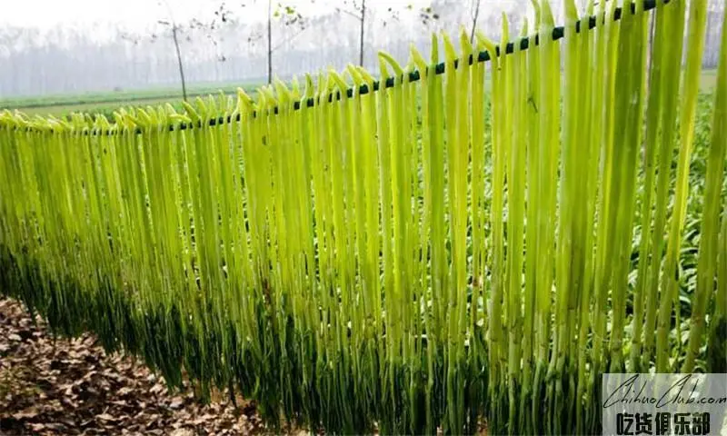 邳州苔干