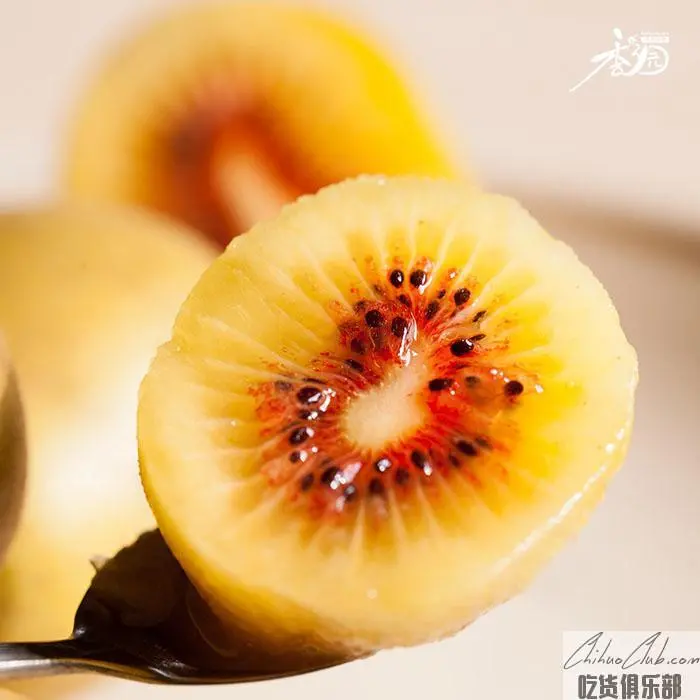 Pujiang Kiwi