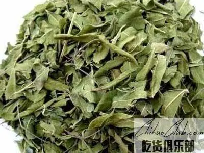 沙雅罗布麻茶