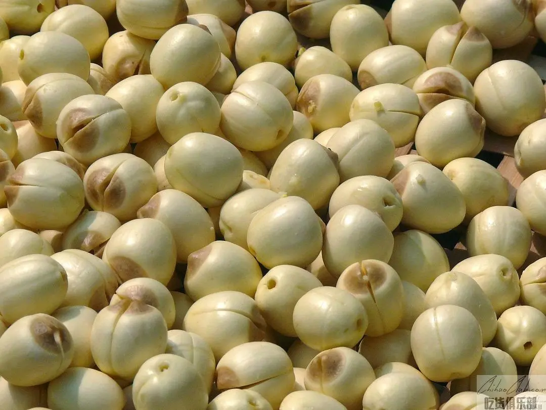 Shicheng White Lotus seed