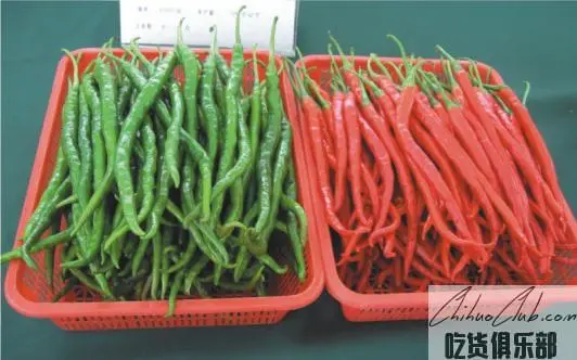 Shuangliu Chilli