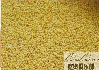 蔚州贡米(蔚州小米)