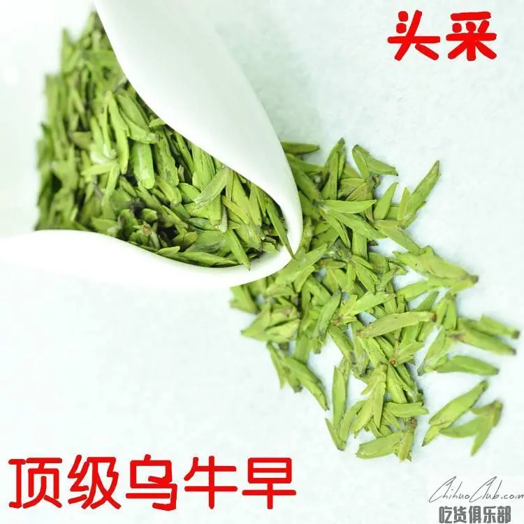 乌牛早茶