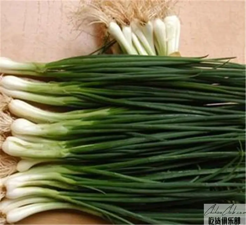 Xinghua Chives