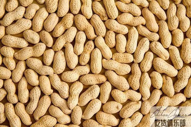 Xinle Peanut