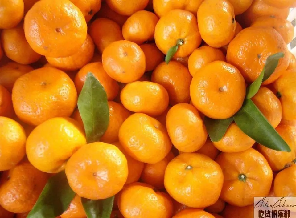 Xunwu black tangerine
