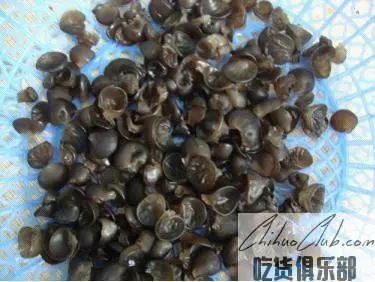 Yadong Black Fungus