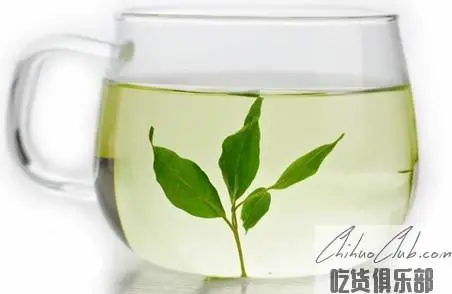 Yuqing broadleaf holly leaf