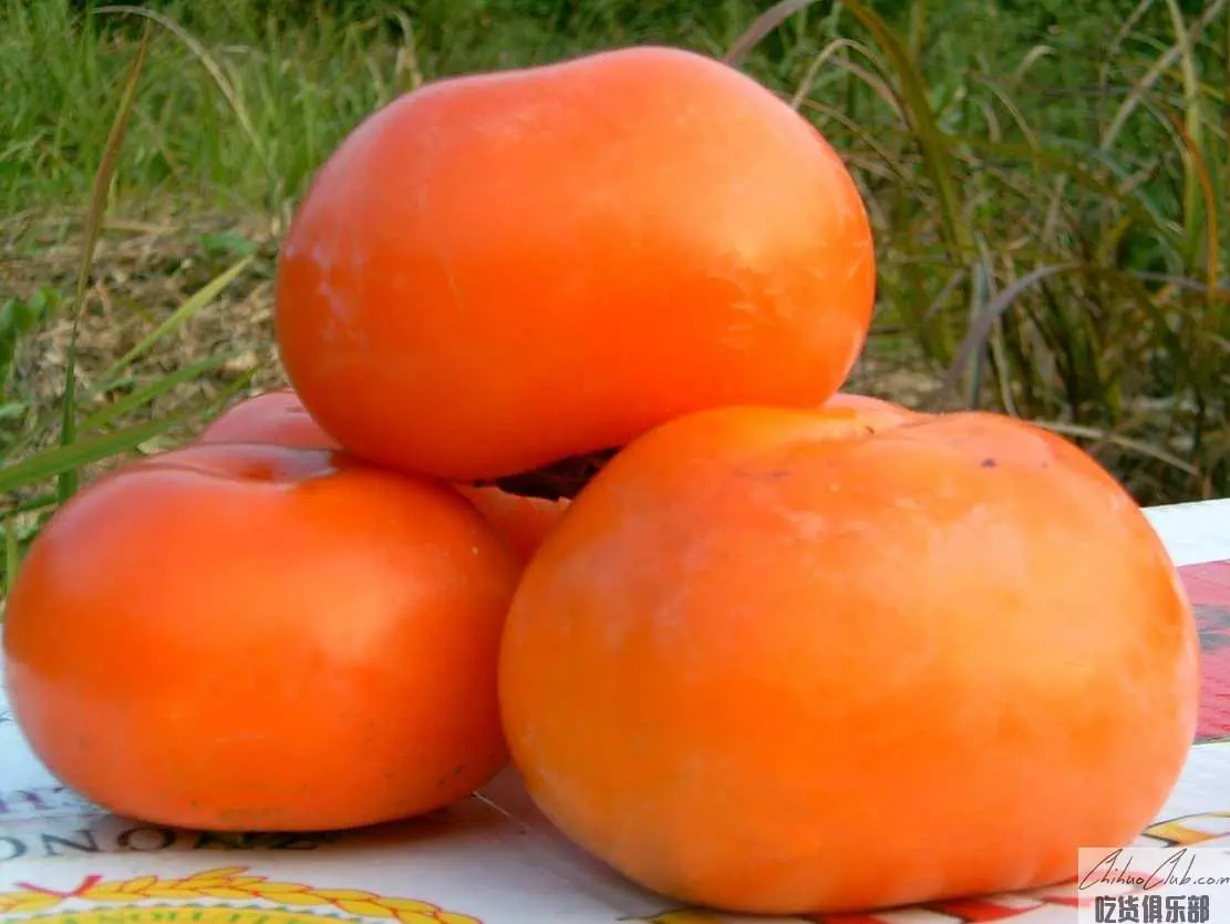 Zhenghu water Persimmon