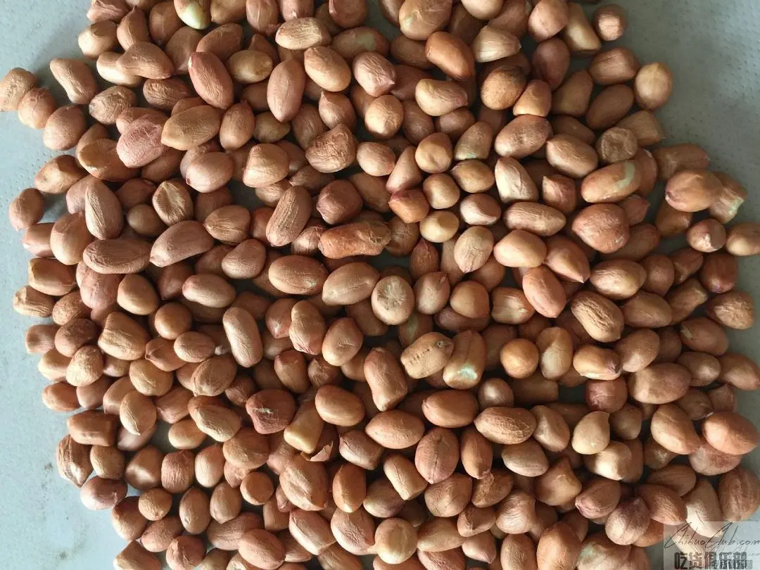 Zhengyang Peanut