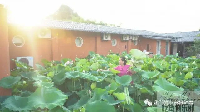 荷畔民宿