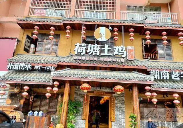 荷塘土鸡