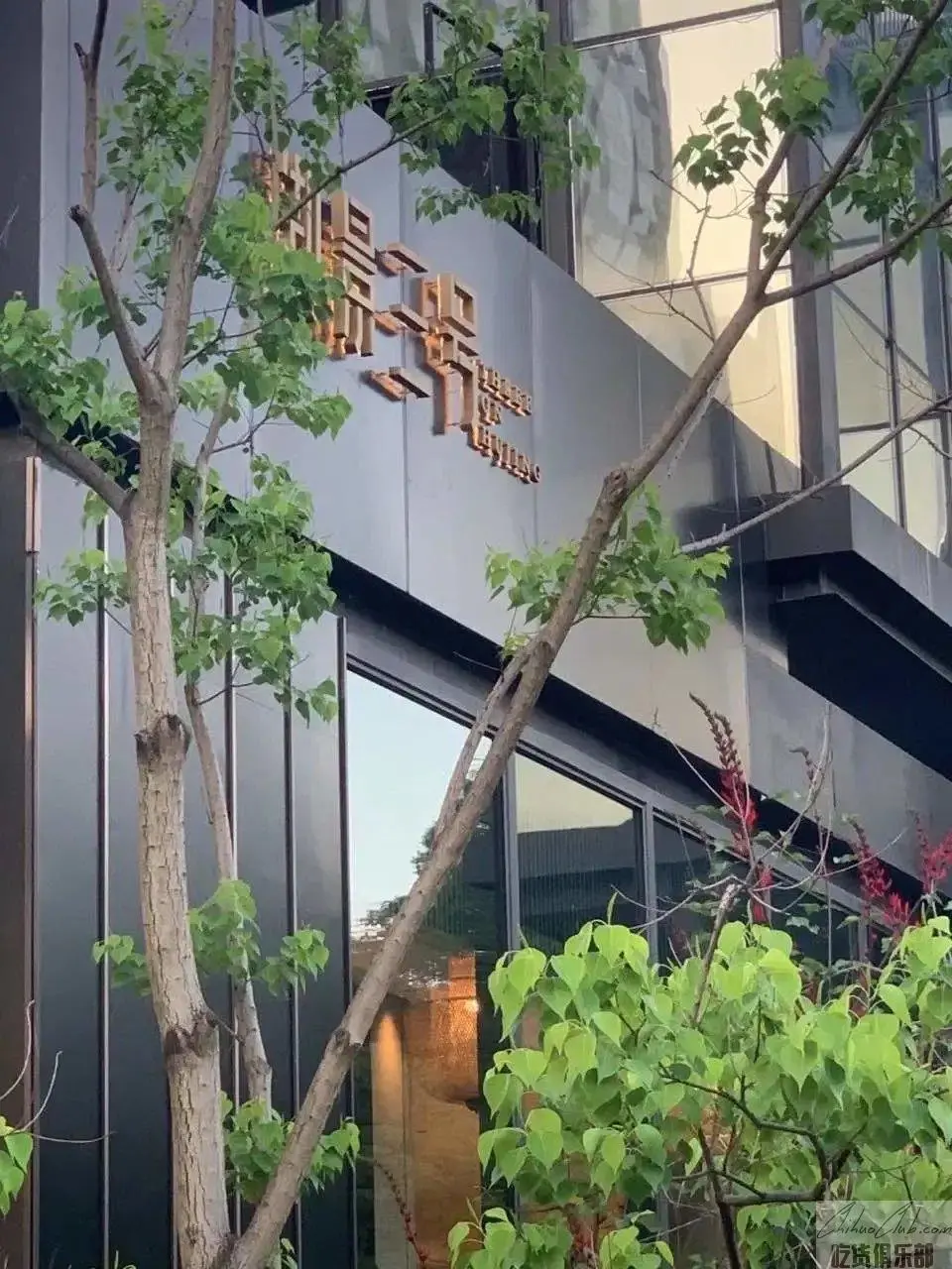 湖景三号花园餐厅