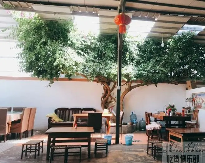 杨家小院