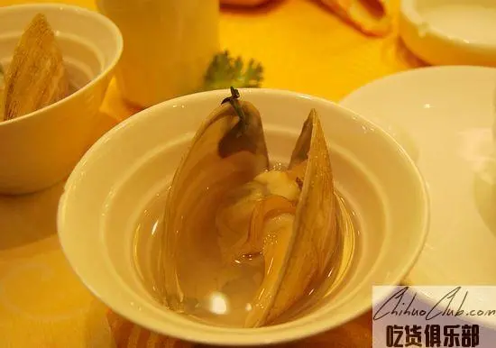 Soup of surf clam shell