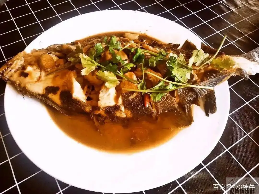 大连滑溜牙片鱼