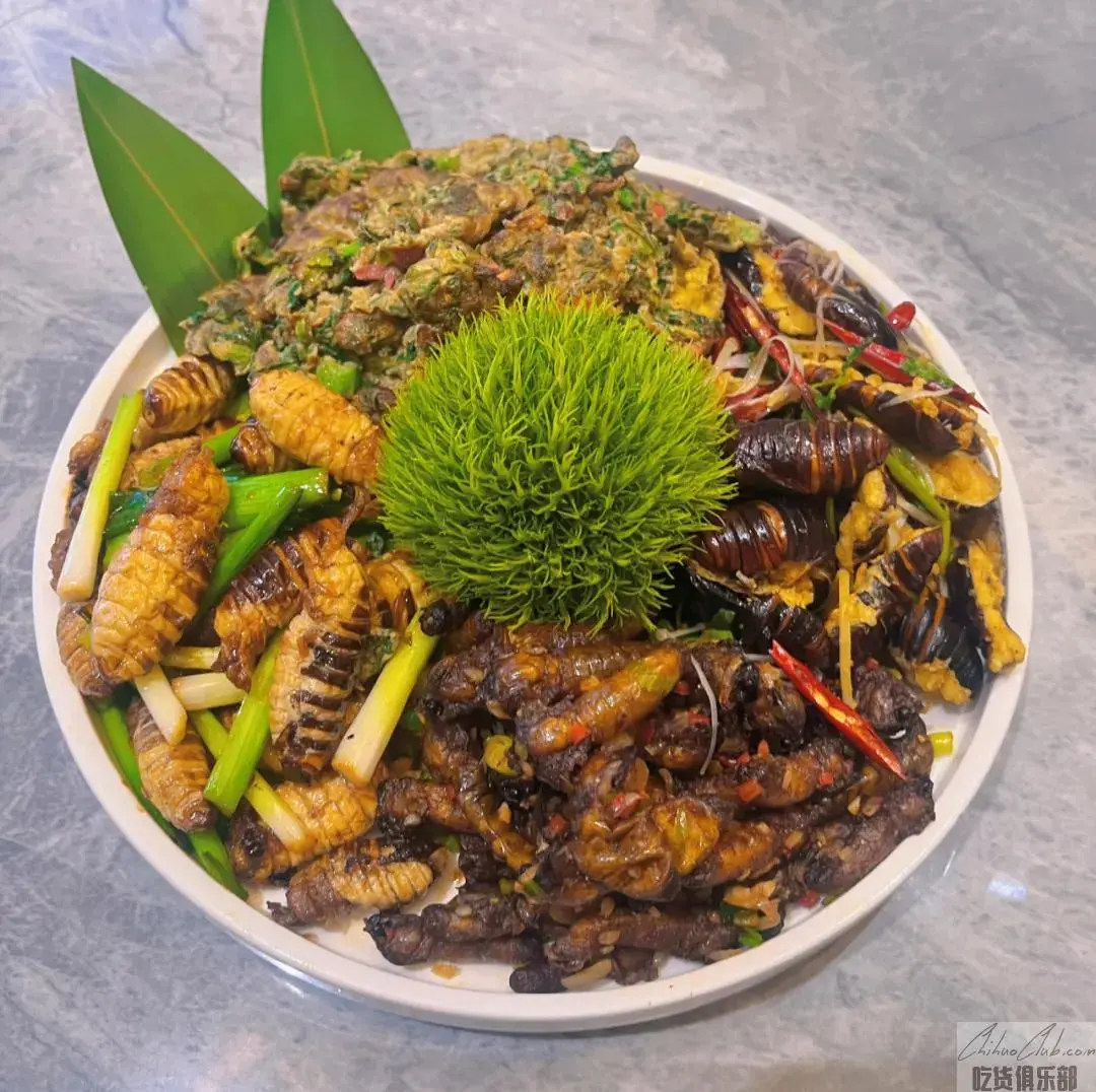 凤城四世同堂（蚕蛾、蚕蛹、蚕、神仙蛹）