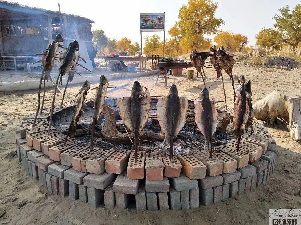 Gobi grilled fish