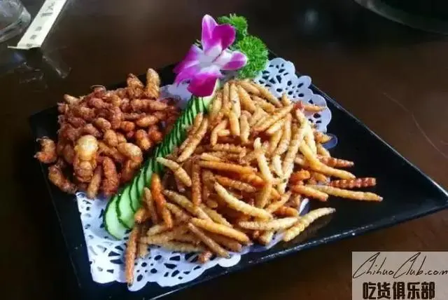 Fried Yunnan worm