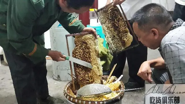 白马蜂蜜
