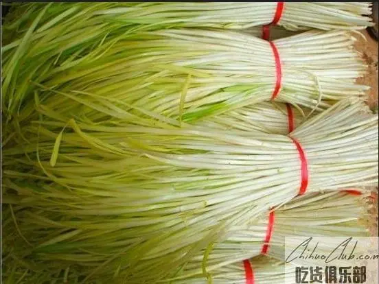 Baiqi hotbed Chives