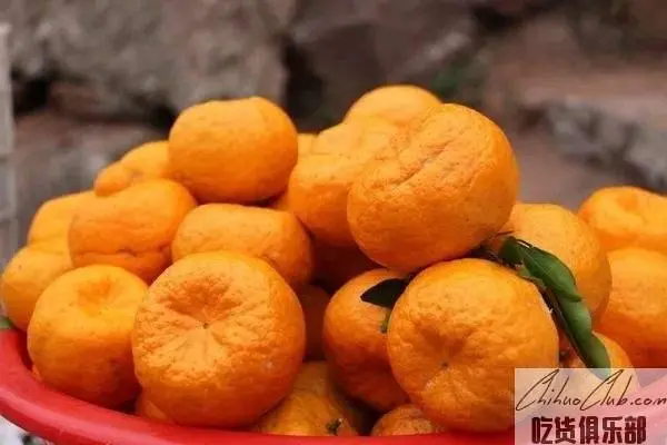 毕节椪柑