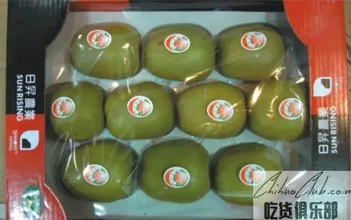 Cangxi Kiwi