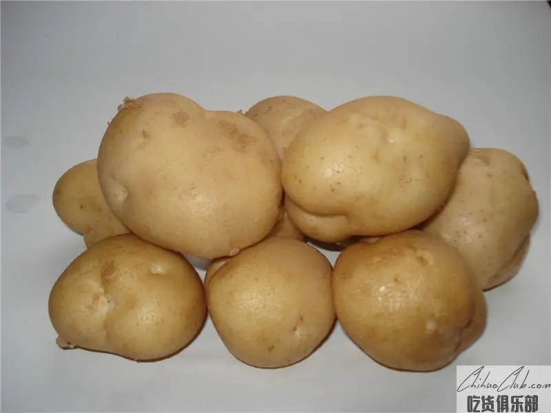 Dingbian Potato