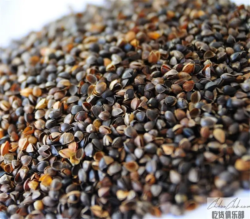 Dingbian buckwheat